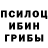 Псилоцибиновые грибы Psilocybe Helga Bereslavskaya