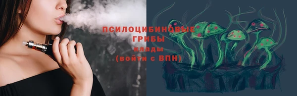 соль ск Алексин
