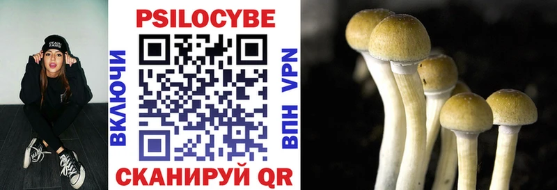 Галлюциногенные грибы мицелий  Гулькевичи 